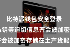 比特派钱包安全登录 用户的私钥等迫切信息齐会被加密存储在土产货配置中