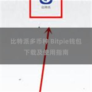 比特派多币种 Bitpie钱包下载及使用指南