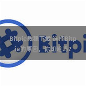 Bitpie教程下载 选择Bitpie的原因，你知道吗？