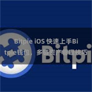 Bitpie iOS 快速上手Bitpie钱包，多链资产管理技巧