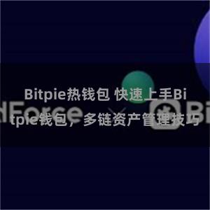 Bitpie热钱包 快速上手Bitpie钱包，多链资产管理技巧