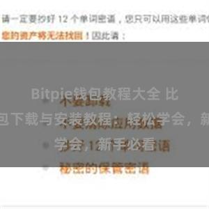 Bitpie钱包教程大全 比特派钱包下载与安装教程：轻松学会，新手必看