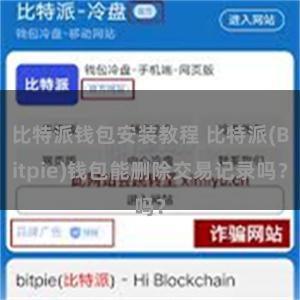 比特派钱包安装教程 比特派(Bitpie)钱包能删除交易记录吗？
