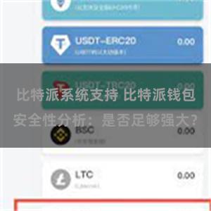 比特派系统支持 比特派钱包安全性分析：是否足够强大？