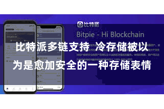 比特派多链支持 冷存储被以为是愈加安全的一种存储表情