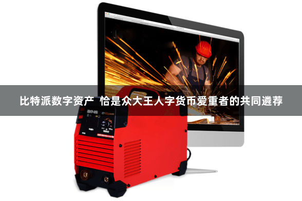 比特派数字资产  恰是众大王人字货币爱重者的共同遴荐